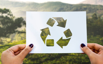 Sustainable Packaging is your choice
